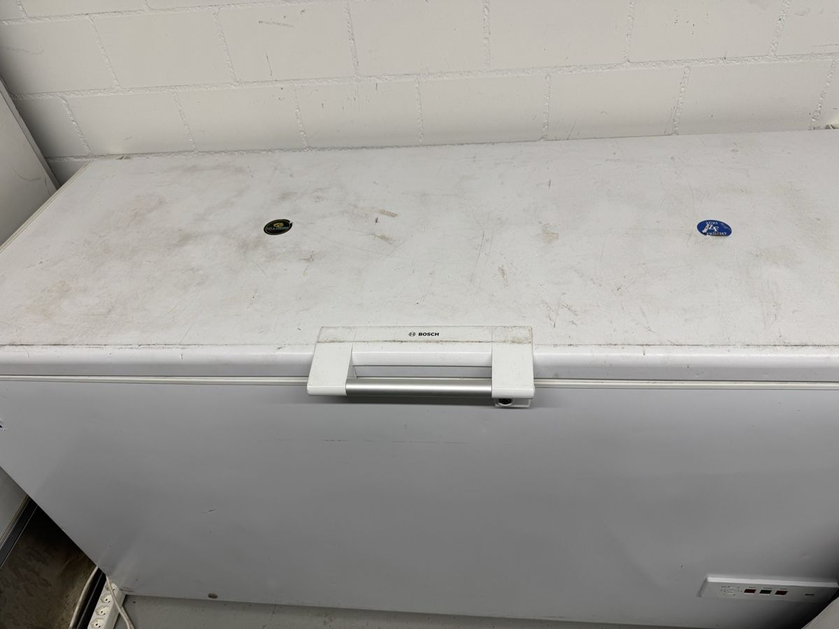 Congelatori: Congelatore a pozzetto Bosh – Usato da Zürich venduto da LuFrusciuluGmbH 2