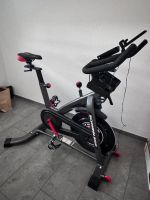 Schwinn Speedbike 800IC  Top-Zustand, kaum genutzt