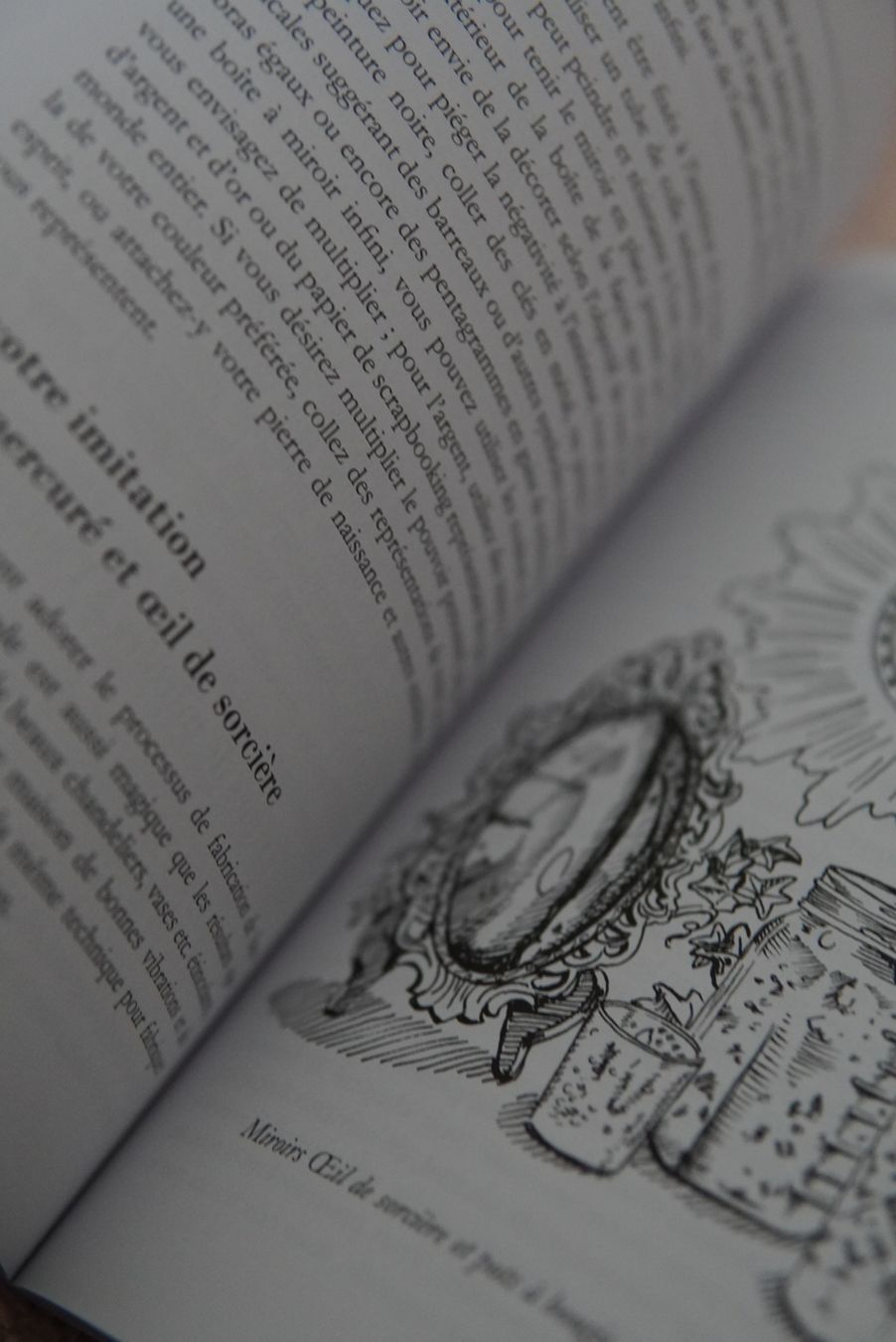 Livres: Le miroir de la sorcière – Mickie Mueller – Neuf (Voir description) à Onex par Magou_31 2