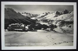 PONTRESINA Muottas-Muraigl - Blick gegen das Engadin