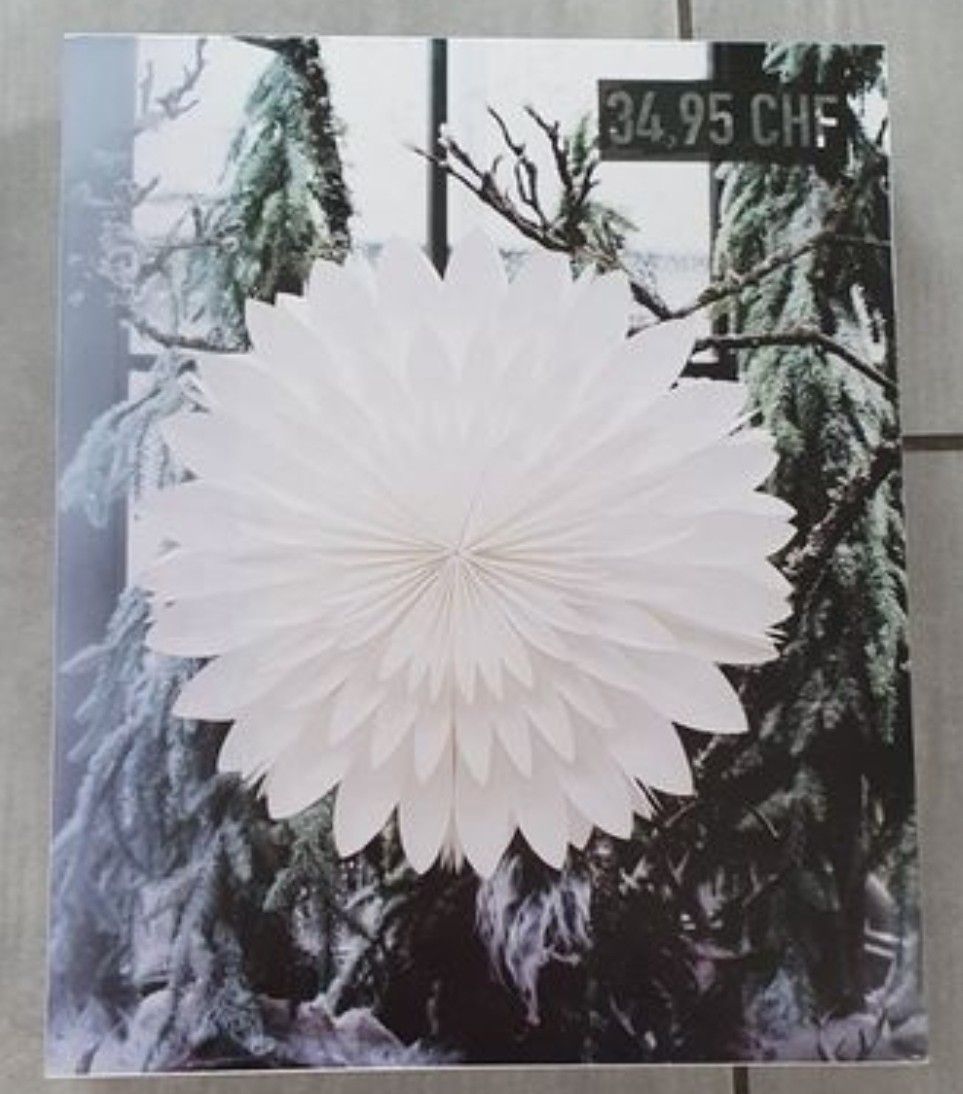 Tutte le decorazioni: Weihnachtsdeko Papierstern Winterzauber – Usato da Heerbrugg venduto da kim11 1