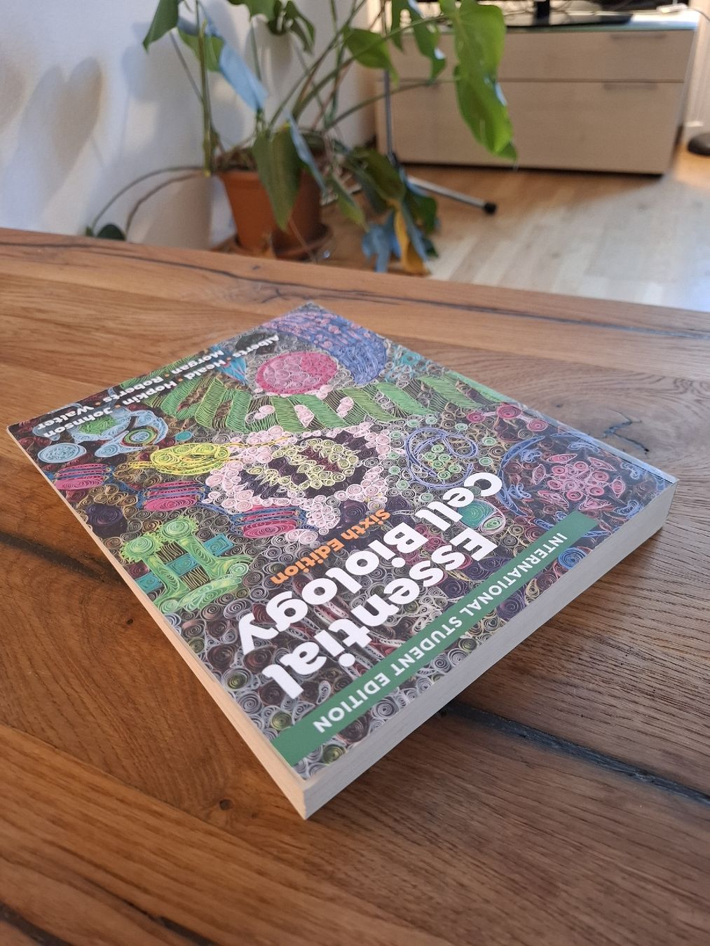 Bücher: Essential Cell Biology – Sixth Edition – Gebraucht aus Bern von spoo 2