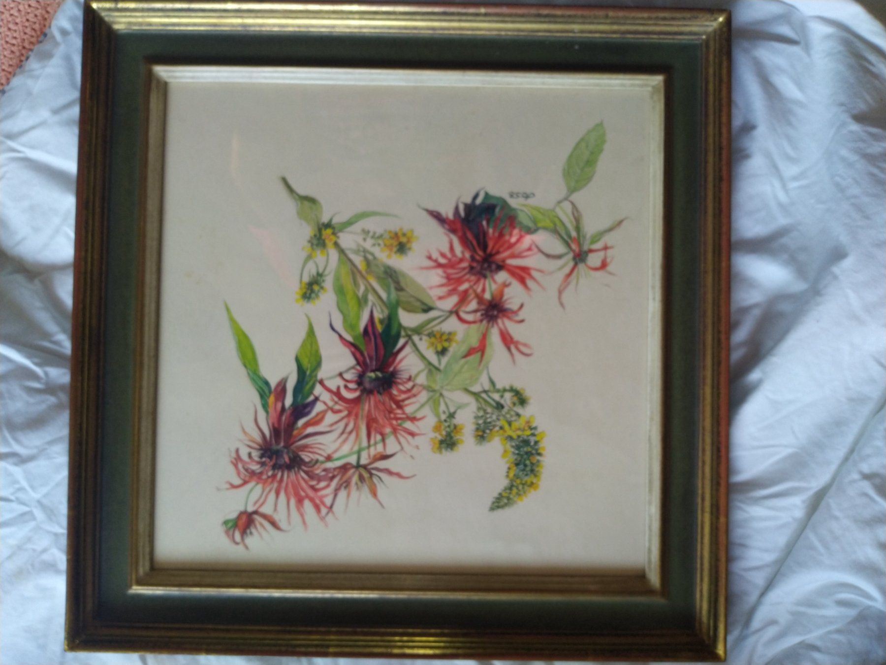 Dipinti: Aquarell Flower Jo. 58 – Usato da Weggis venduto da cherry2000 5