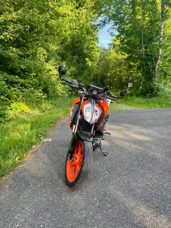 KTM Route: KTM Duke 390 ab MFK + Service und frisch bereift – D'occasion à Dielsdorf par leon_svo 2