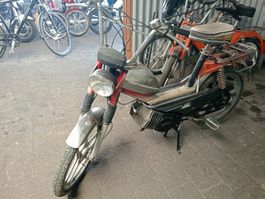 Pony GTX Typ ADV ohne Kat.