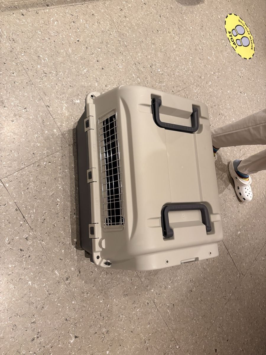 Gabbie, trasporto & Sicurezza: Hunde Transportbox – Nuovo (secondo la descrizione) da Dübendorf venduto da Cheekie 3