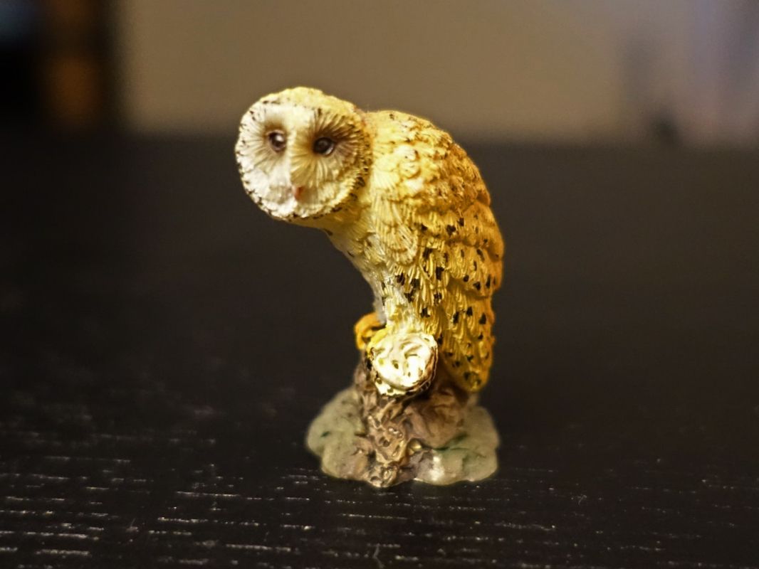 Statuette: Detailverliebte Eule / Schleiereule – Usato da Russikon venduto da Eulenfeder