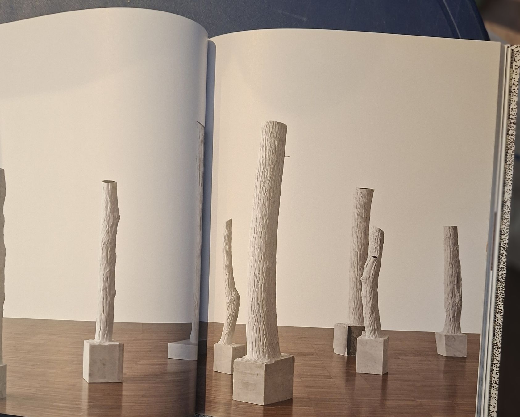 Bücher: Giuseppe Penone Buch Actes Sud Musee de Grenoble Buch – Neu (gemäss Beschreibung) aus Niederglatt ZH von Siegfried67 7