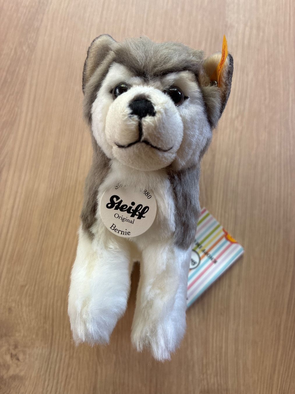 Steiff Giocattoli: Stofftier, Bernie Husky von Steiff – Nuovo e nell'imballaggio originale da Eggenwil venduto da mic_b5l2 2