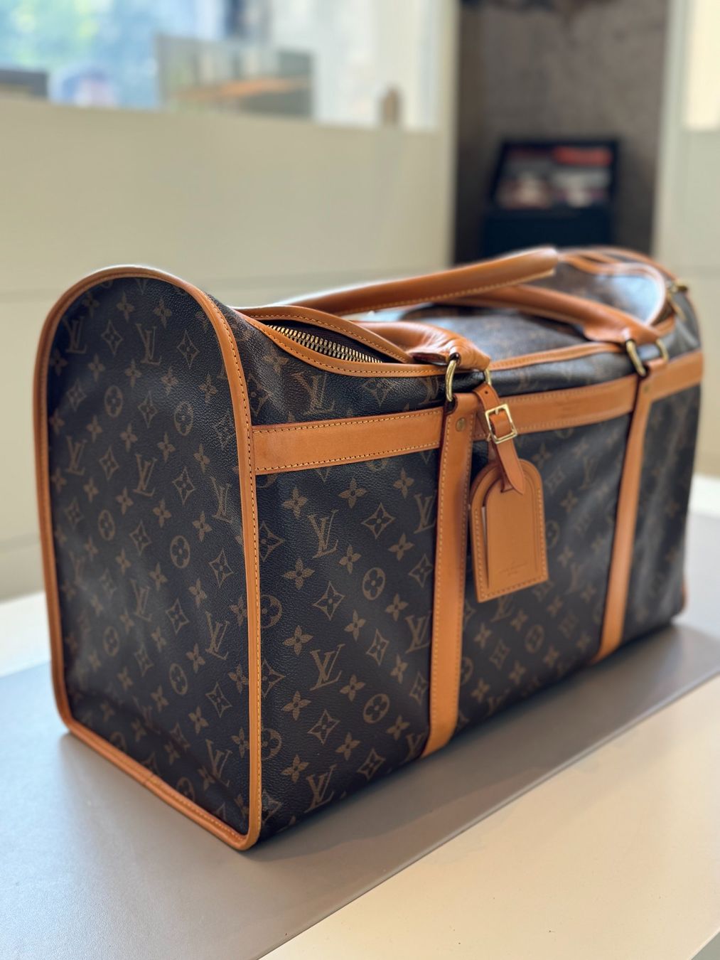 Louis Vuitton Borse: Louis Vuitton "Dog bag " – Usato da Genève venduto da Harold-W 3