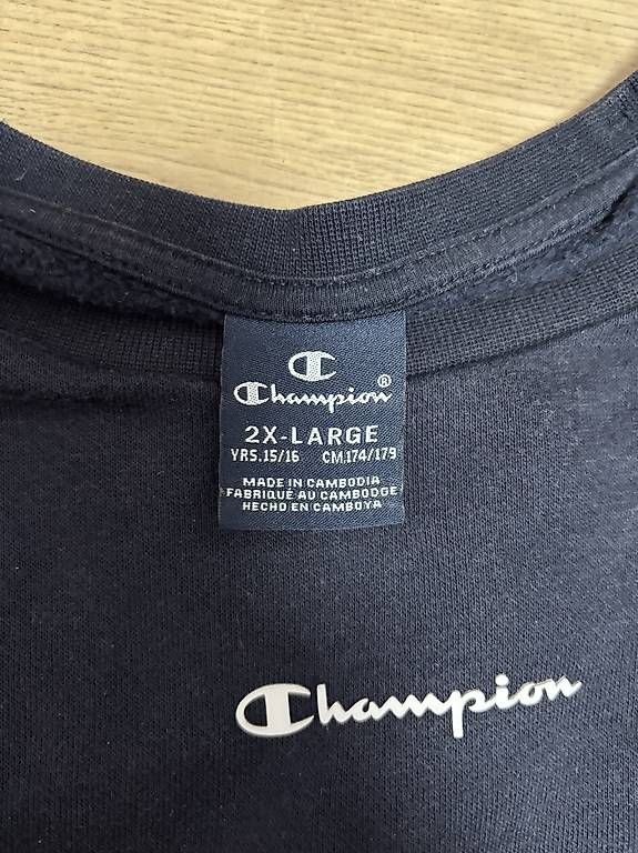 Maglioni & Felpe: originaler Champion Pullover – Usato da Chur venduto da gio_6rlp 2