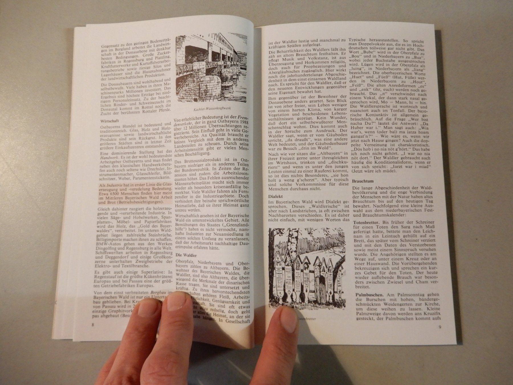 Libri: Reiseführer Bayerischer Wald Donau Polyglott Vintage – Usato da Erstfeld venduto da Mario_boe0 5