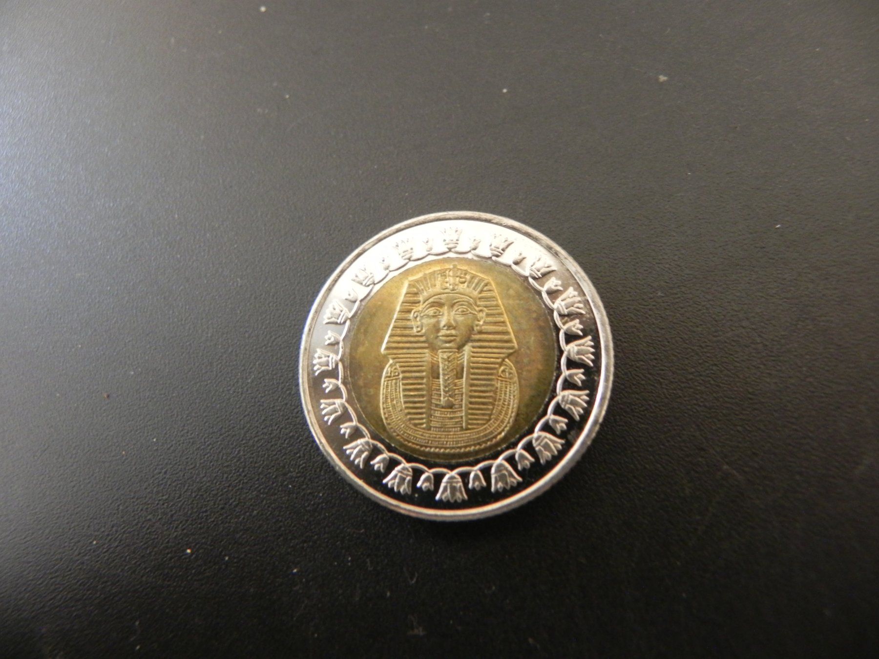 Tutti le monete: Ägypten 1 Pound 2008 – Usato da Biel/Bienne venduto da Gogolozi 1