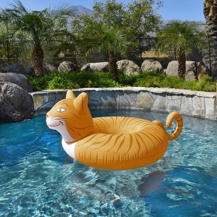 Piscine: Katze  Pool  Float – Nuovo (secondo la descrizione) da Castagnola venduto da Cat-WomenX 1