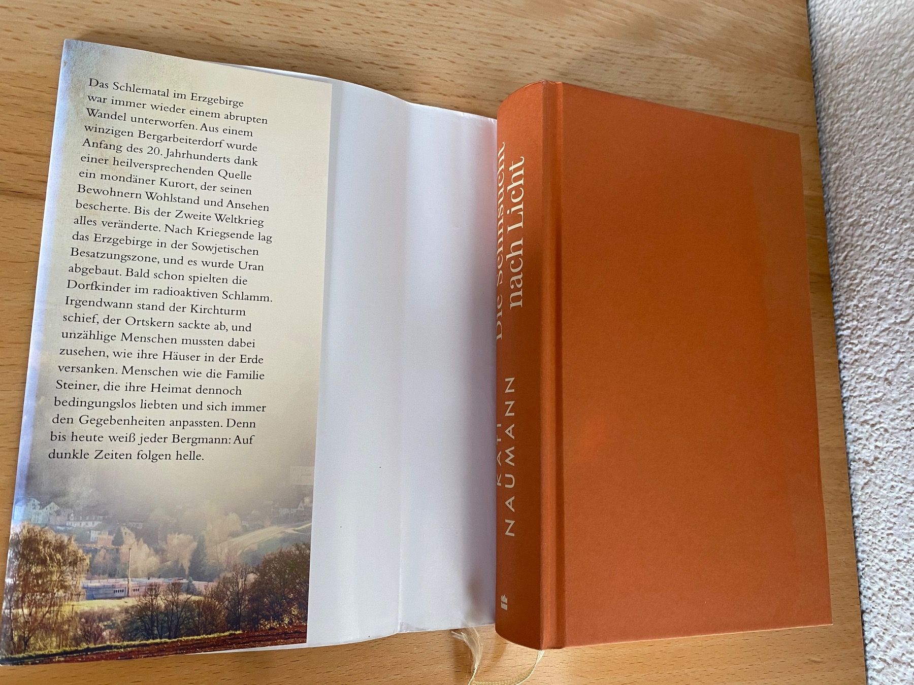 Bücher: Die Sehnsucht nach Licht - Kati Naumann – Gebraucht aus Schwarzenburg von Michellu 4