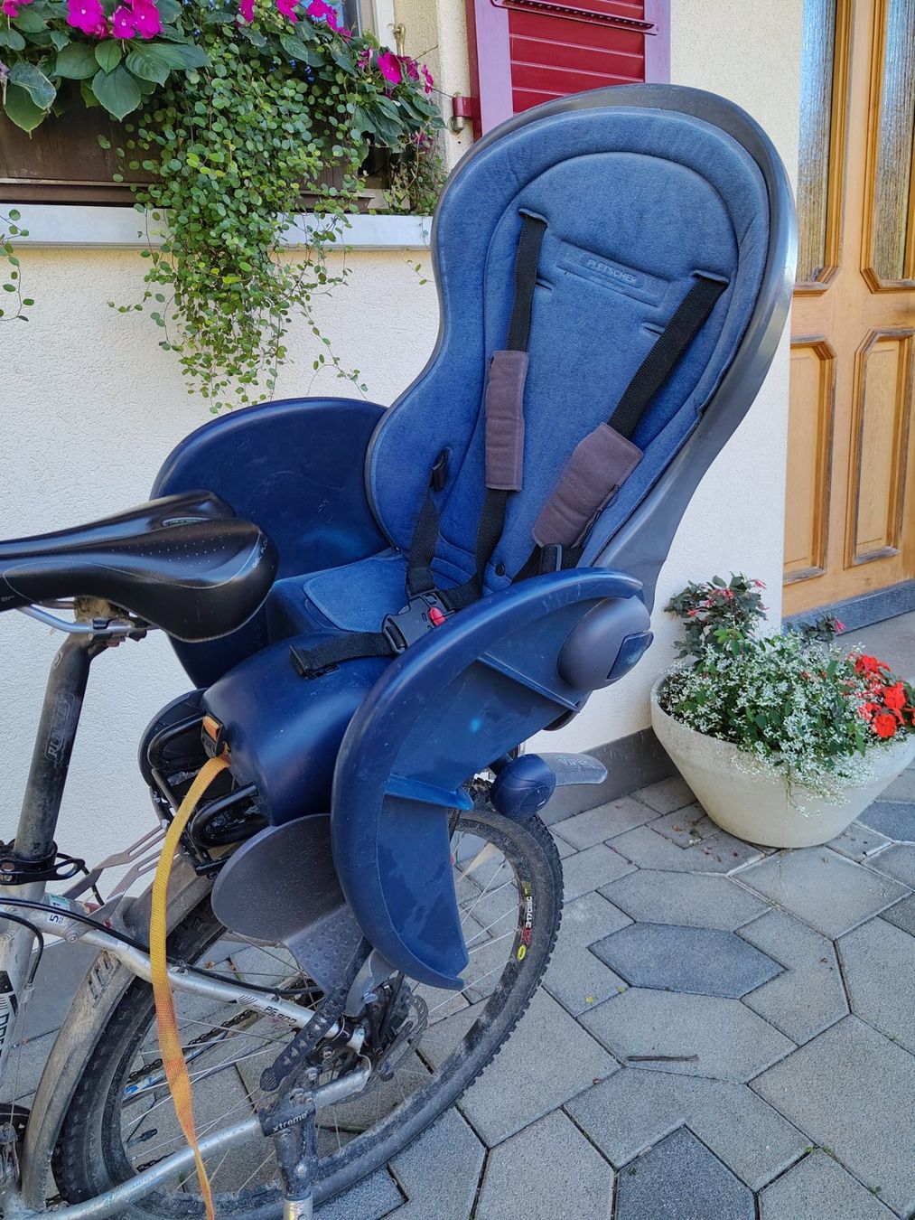 Pezzi di ricambio: Velositz / Kindersitz von Pletscher – Usato da Heimiswil venduto da CEVI4you