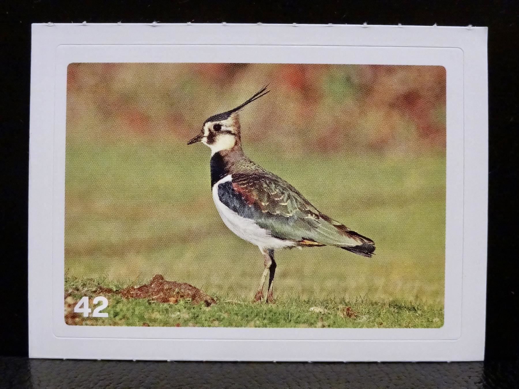 Migros Carte collezionabili: MIGROS MANIA Nature Detectives Nr. 42 – Usato da Kerzers venduto da zimmergruen