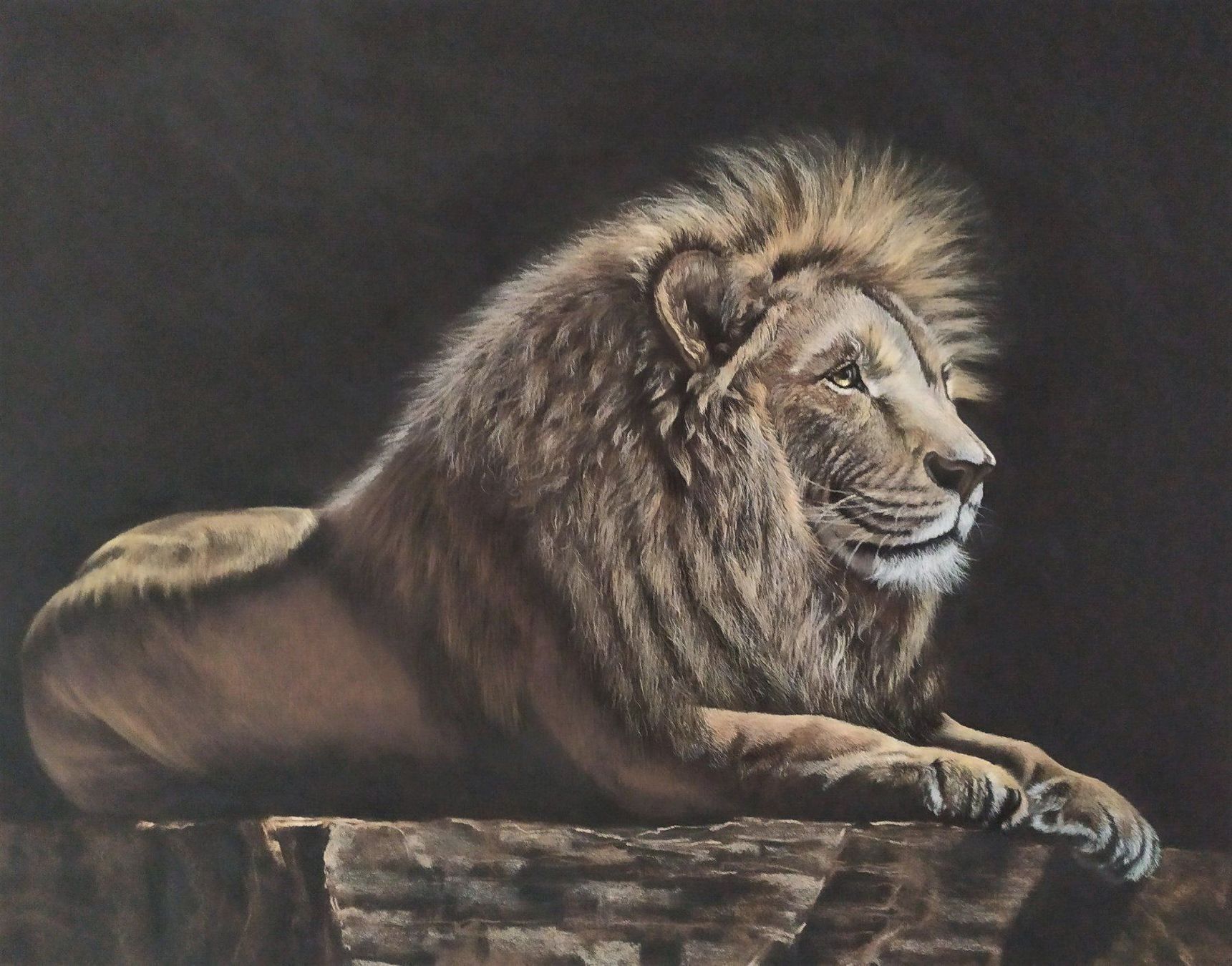 Dipinti: Löwe mit Pastellkreiden gemalt – Nuovo (secondo la descrizione) da Inwil venduto da mm70