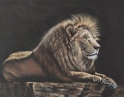 Löwe mit Pastellkreiden gemalt