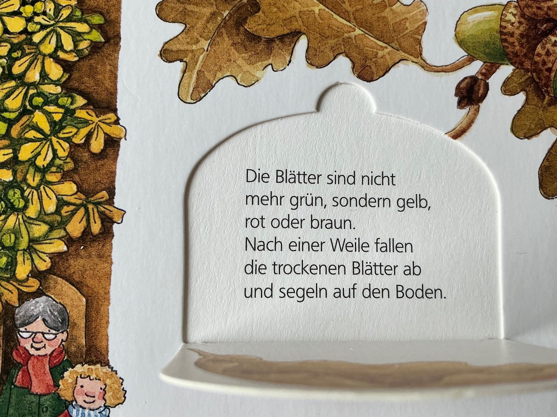 Libri: Wieso? Weshalb? Warum? Herbst-Kinderbuch – Usato da Oberdorf SO venduto da walterrueefli 1