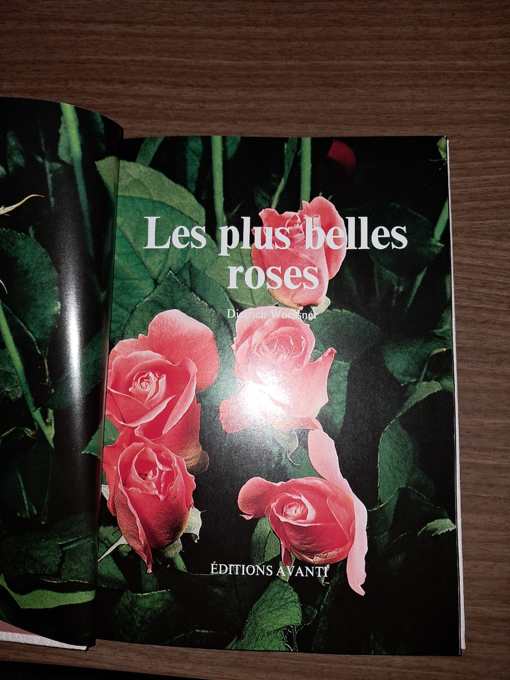 Libri: Livre les plus belles roses – Usato da Le locle venduto da juliensaran
