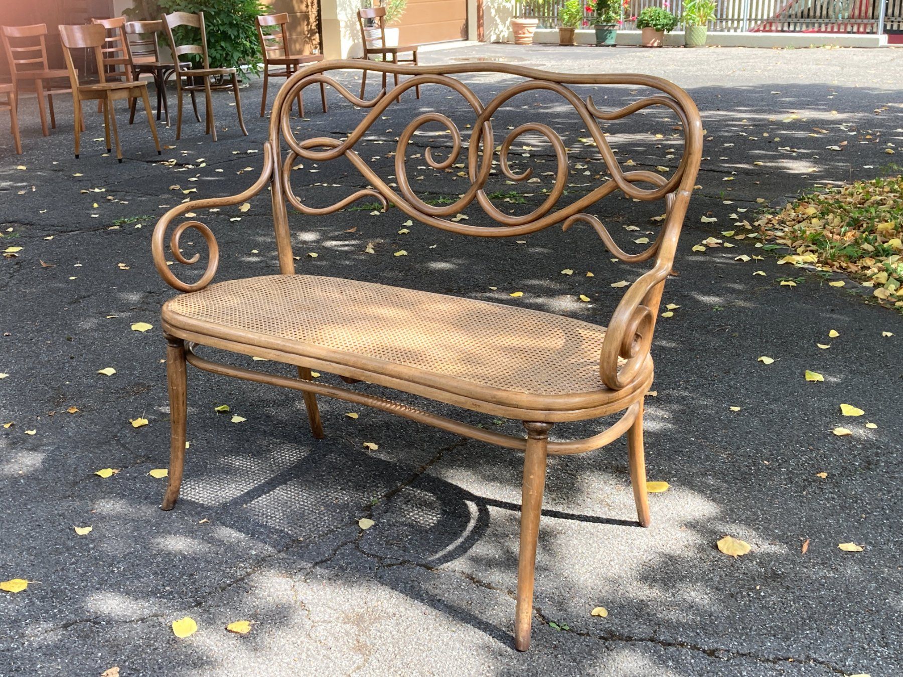 Divani: Jugendstil Kanapee Sofa Thonet – Usato da Bottmingen venduto da ditschli63 2