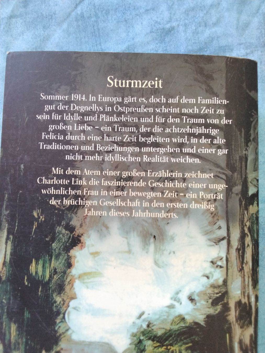 Libri: CHARLOTTE LINK STURM ZEIT – Usato da Biel/Bienne venduto da dasi3 1