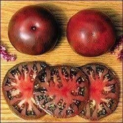 Piante & sementi: Tomate Black Tula ! rare ! 10g – Nuovo (secondo la descrizione) da Bremblens venduto da FIBONACCI369 1