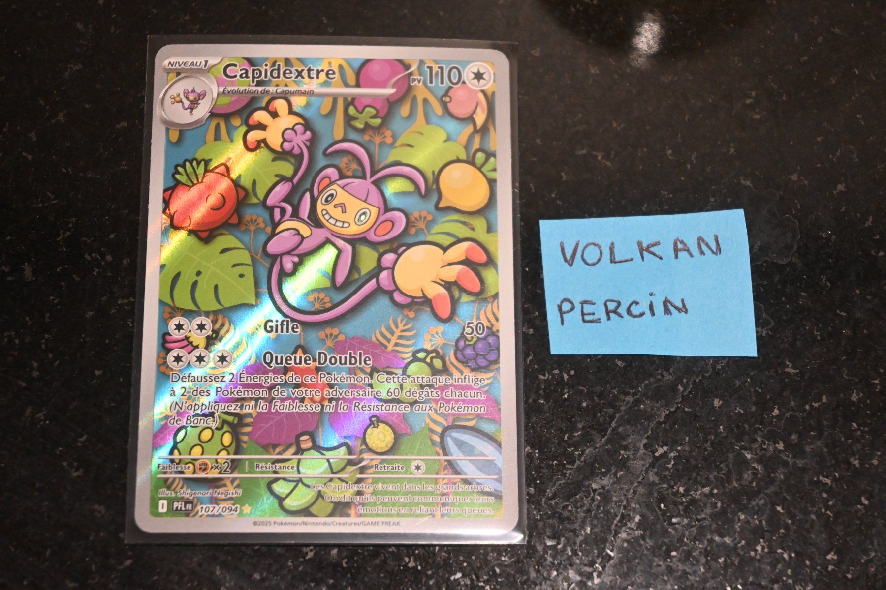 Pokémon Carte collezionabili: Capidextre (PFL 107) FR – Nuovo (secondo la descrizione) da Aigle venduto da PSAPOKEVOVO