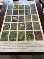 Affiche plantes protégées Suisse vintage 1960's