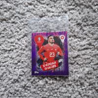 UEFA EURO 2024 Germany-PURPLE Parallel SUI3