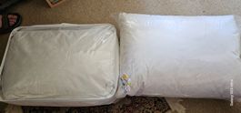 2 Kissen 65x100cm und 50x70cm