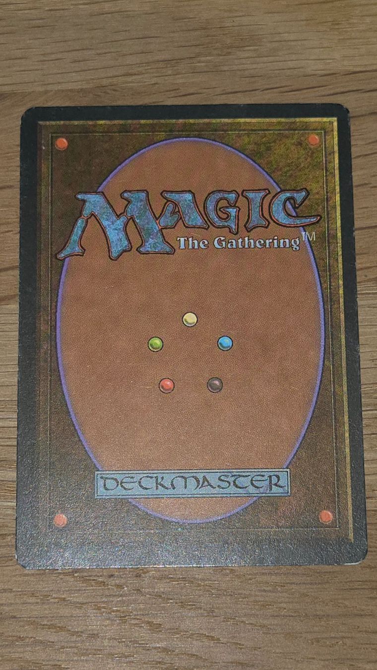 Magic The Gathering Carte collezionabili: Mtg Vulkaninsel – Usato da Buchs SG venduto da Remomoses 1