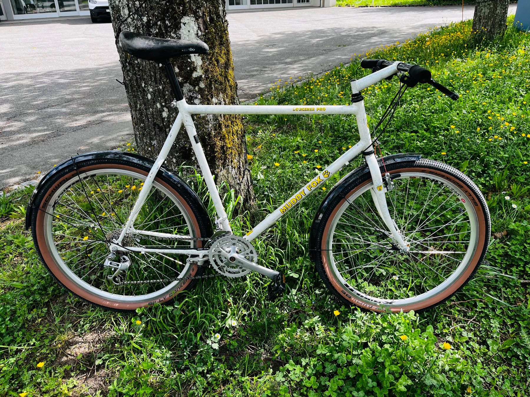 Muddyfox Vélos: Muddy Fox Sorcerer – D'occasion à Möhlin par mischlae
