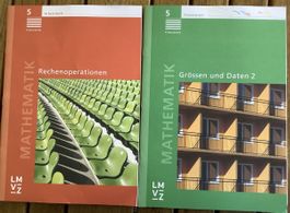 Mathematik Arbeitshefte 5. Klasse Primarstufe LMVZ Set