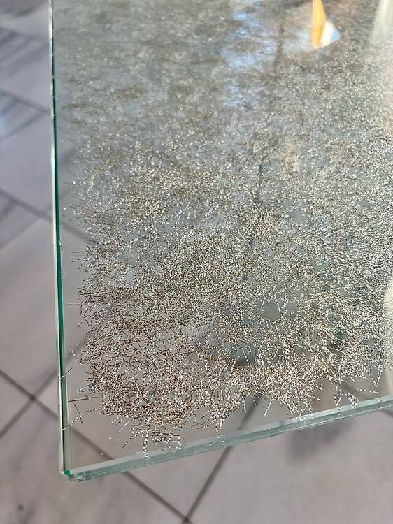 Willisau Glastisch Esstisch 4
