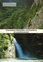 AK Trümmelbach-Wasserfälle und Steinböcke im Lauterbrunnenta