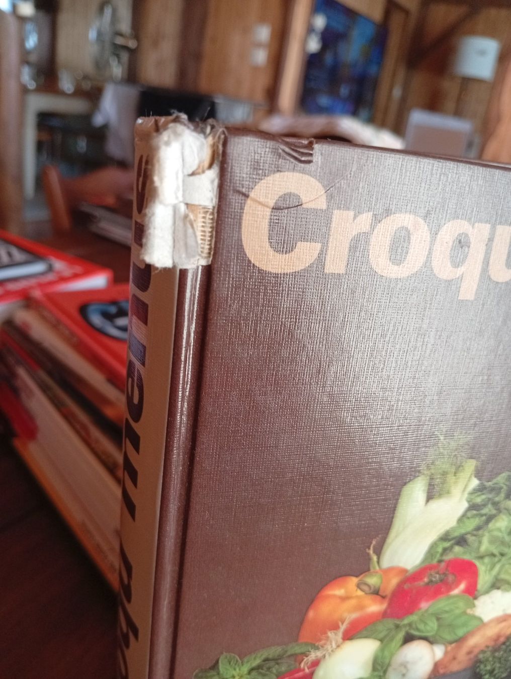 Libri: Croqu'menus – Usato da Perrefitte venduto da 36B 1