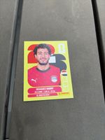Mohamed Hany
