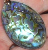 Anhänger L-5518 – Abalone Muschel 40x27mm