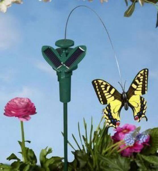 Schmetterlinge, die mit Solarenergie fliegen