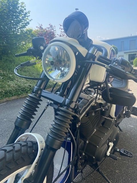 Harley-Davidson Chopper: Harley Davidson XL 883 R ABS – Usato da Männedorf venduto da peaches1ch 5