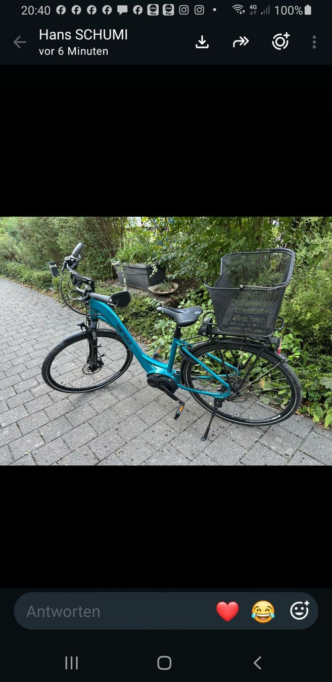 Biciclette: e – Usato da Winterthur venduto da beaste