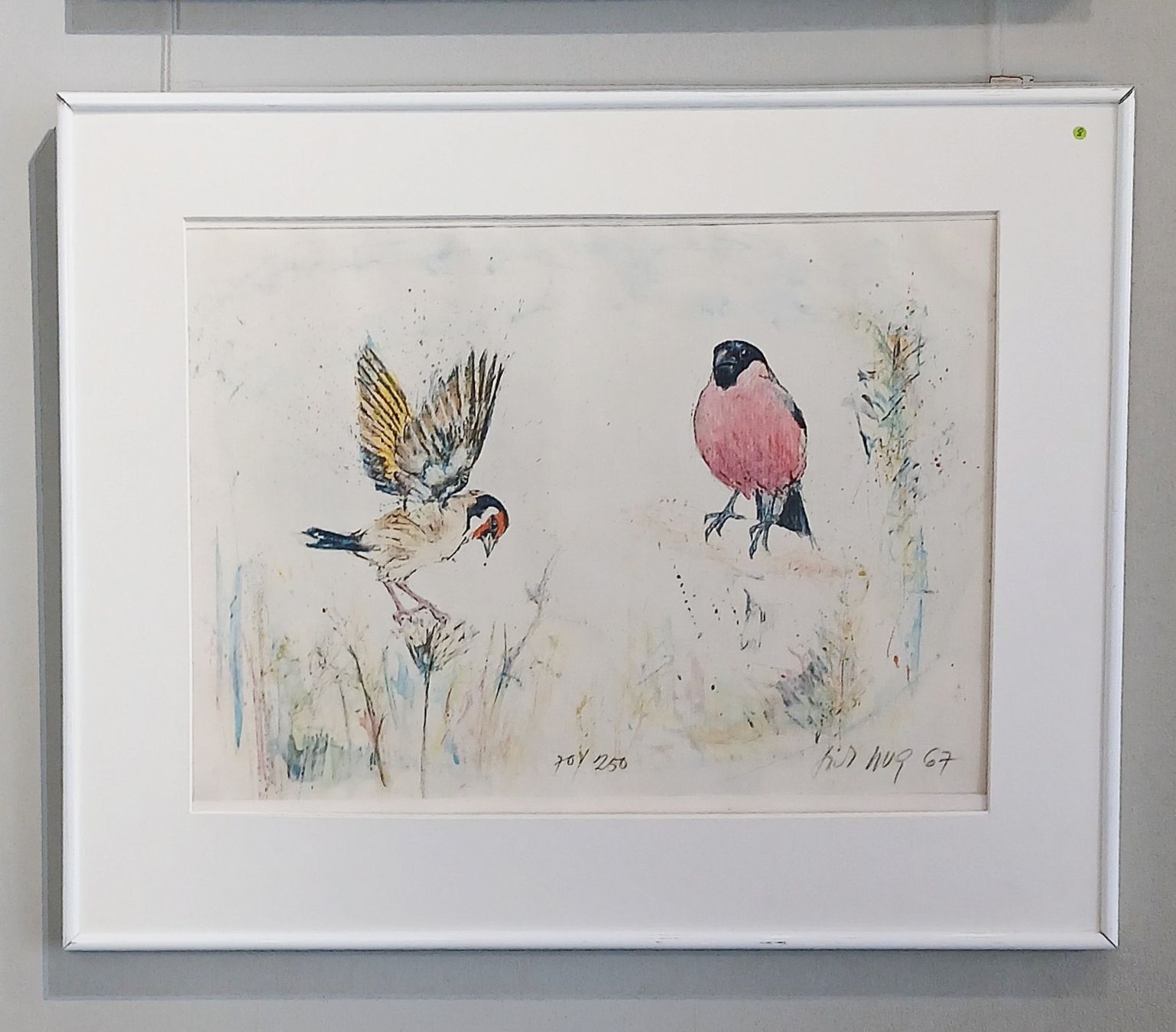 Grafica & Litografie: Fritz Hug  >>zwei einheimische Vögel >> – Usato da Hinwil venduto da Chnap