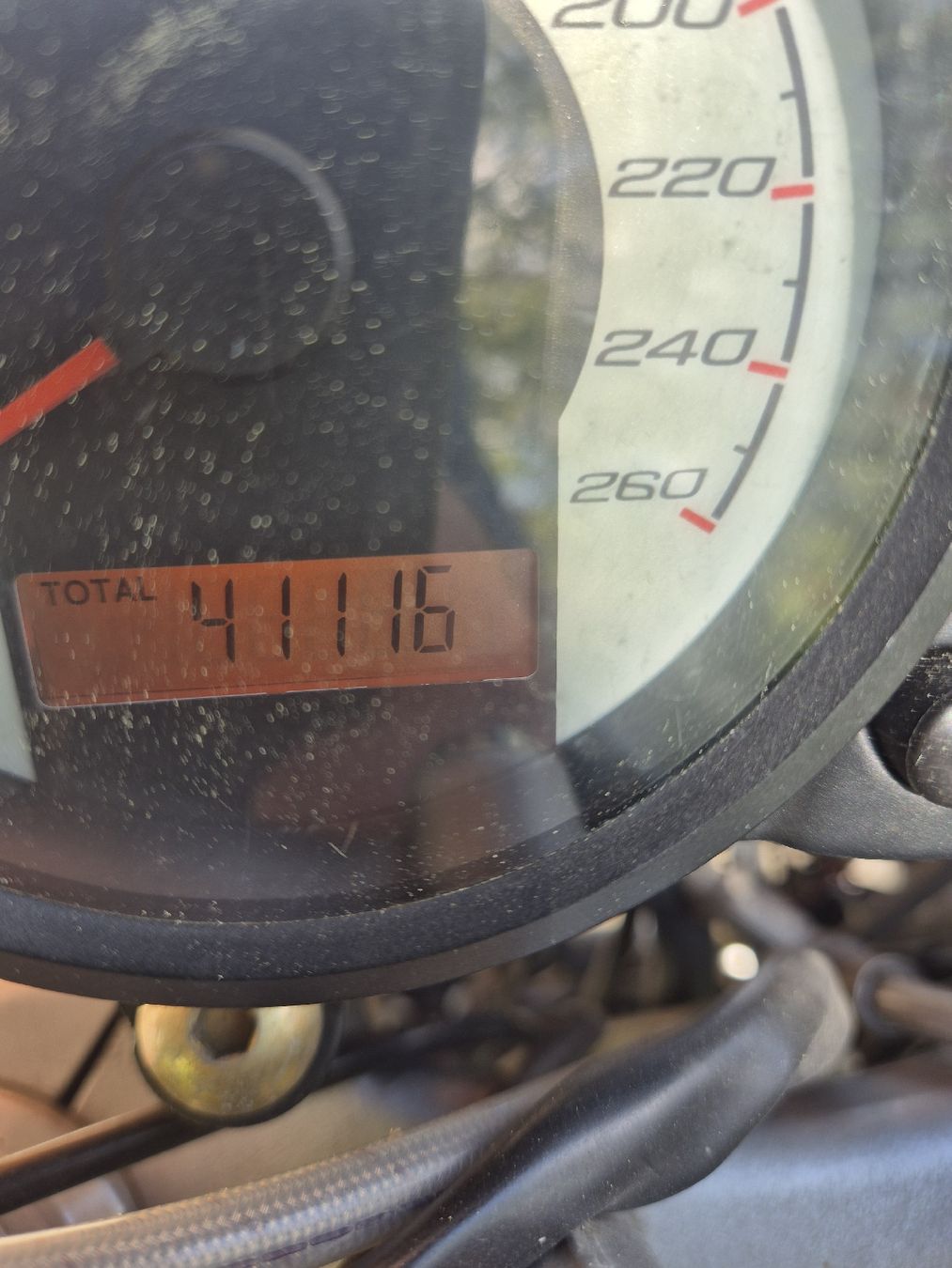 Ducati Strasse: DUCATI MONSTER – Gebraucht aus Volketswil von Manichoch 3