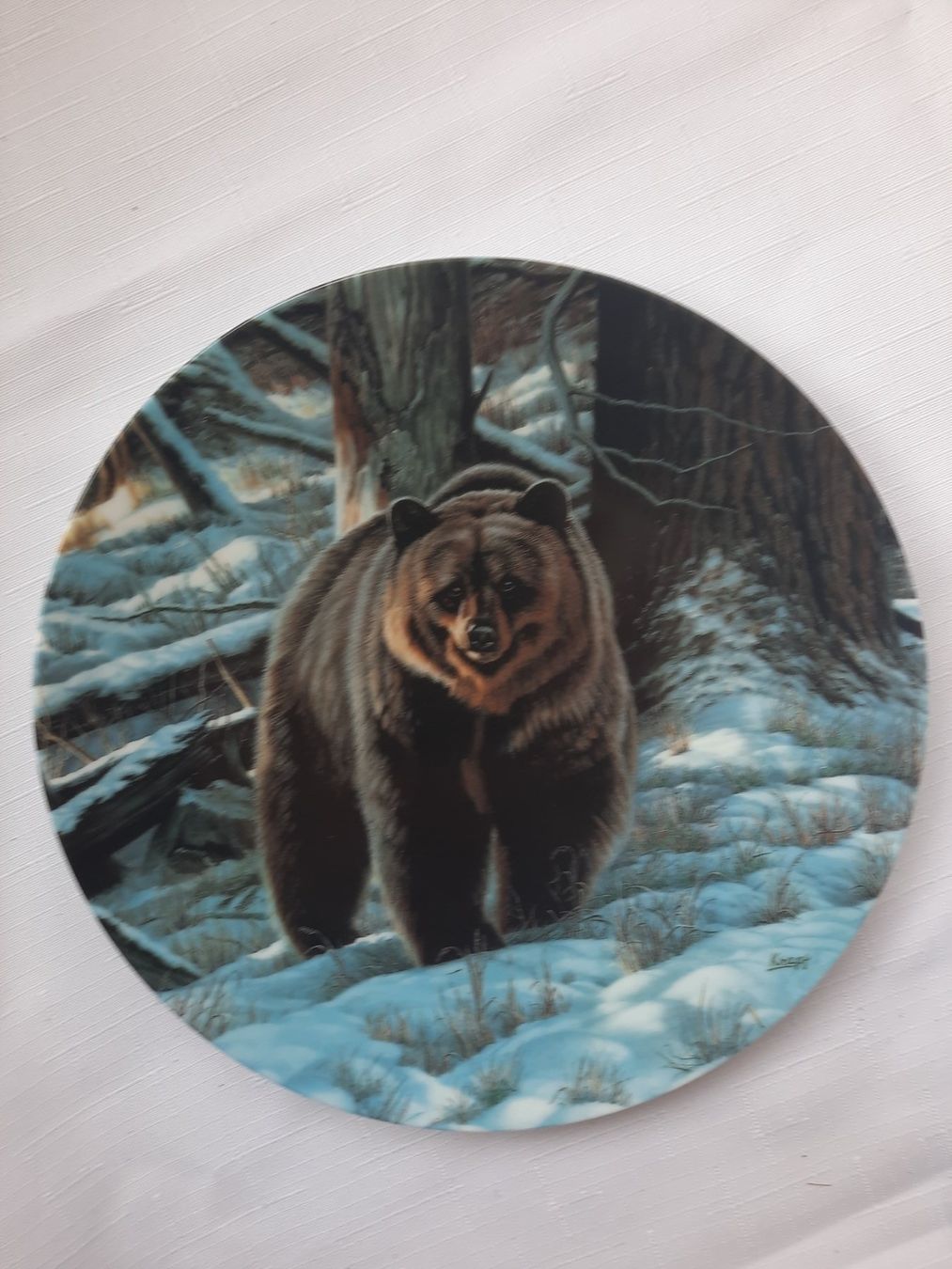 Piatti: Wandteller  The Grizzly Bear,  Paul Krapf – Usato da bellach venduto da megi09