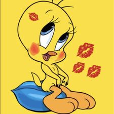 Profile image of TweetyBird70