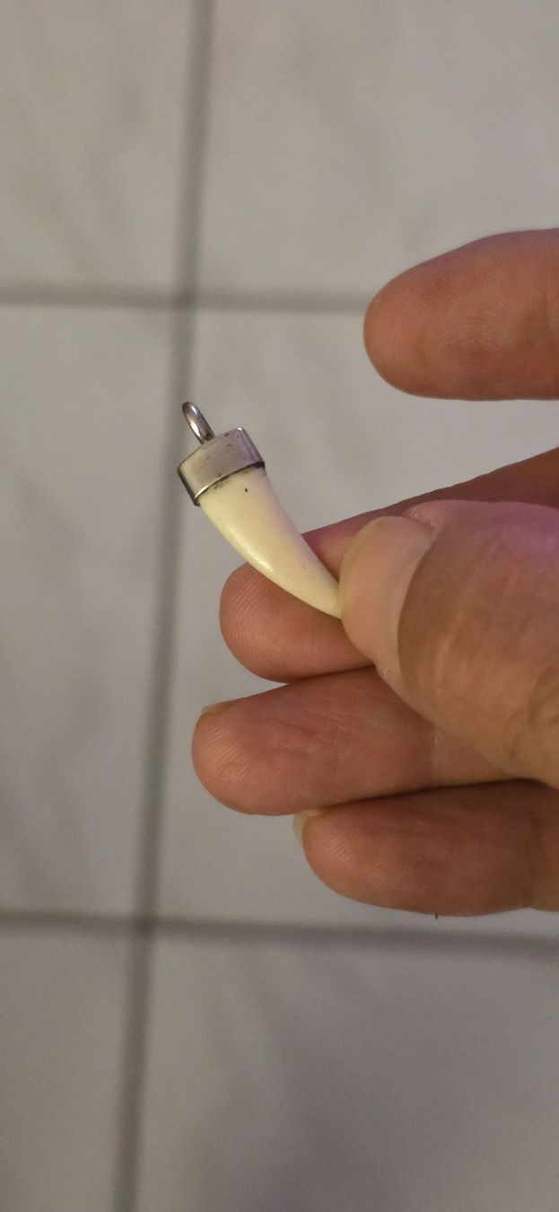 Anhänger: Anhänger Silber 925/Knochen in Zahnform – Neu (gemäss Beschreibung) aus Fislisbach von Eye-Arts 4