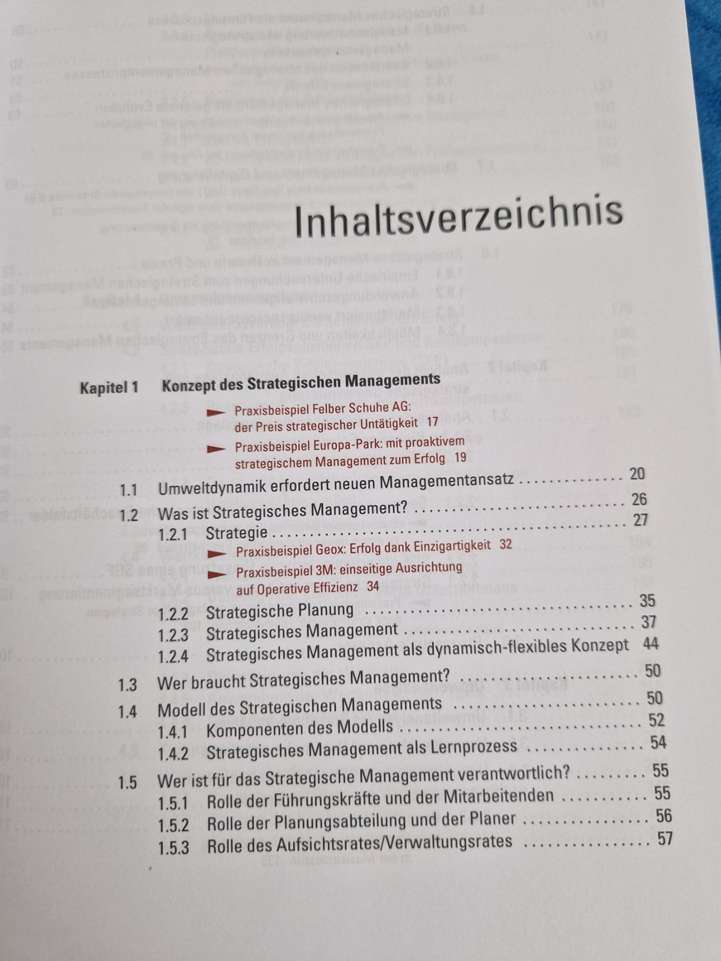 Libri: Strategisches Management Lombriser – Usato da Erlinsbach SO venduto da ULIKH 4
