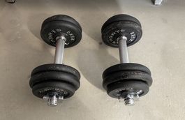 Kurzhantelset 30 kg (2 x 15 kg) MSPORTS